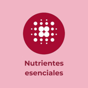 Nutrientes esenciales Ícono nutrientes esenciales de Adisseo