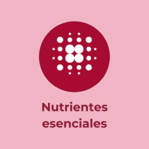 Ícono nutrientes esenciales de Adisseo 